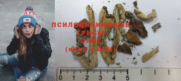 прущие грибы Нязепетровск
