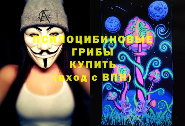 mdpv Няндома