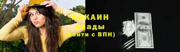 бошки Дмитров