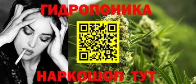 прущие крисы Дубна